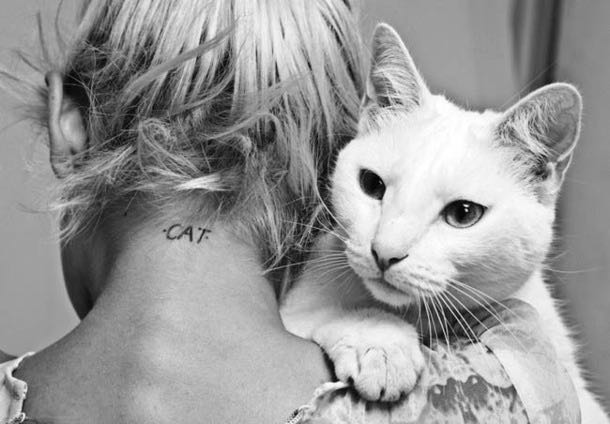 what cats really mean to us what cats really mean to us